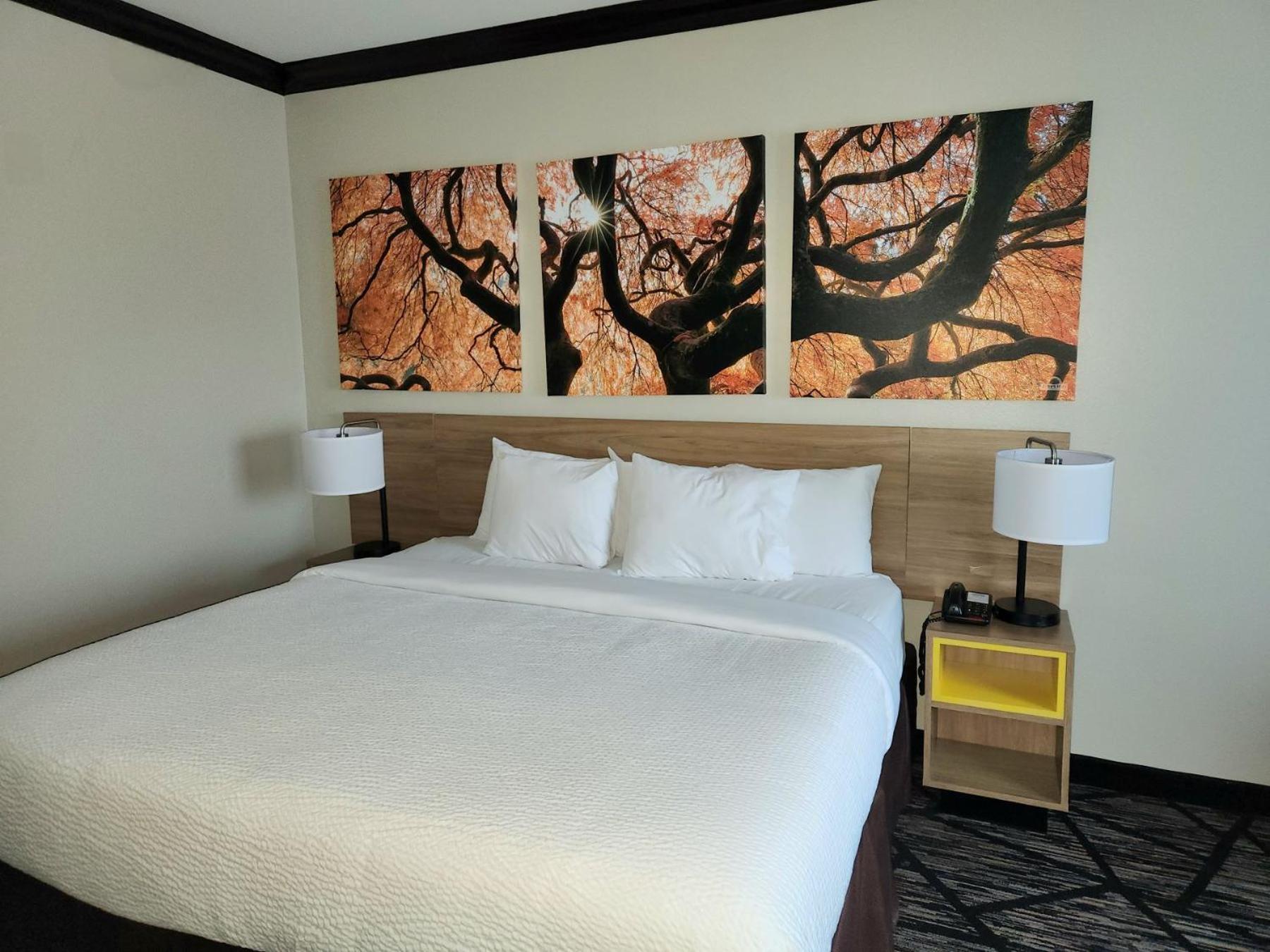 Days Inn By Wyndham Baton Rouge I-10 Prairieville Dış mekan fotoğraf
